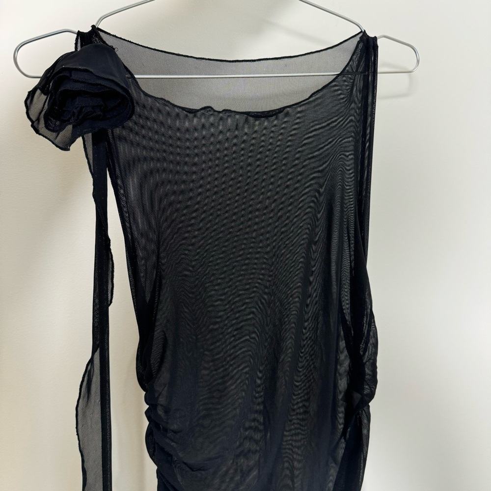 Sheer Dress